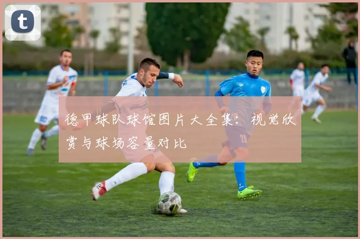 德甲球队球馆图片大全集：视觉欣赏与球场容量对比