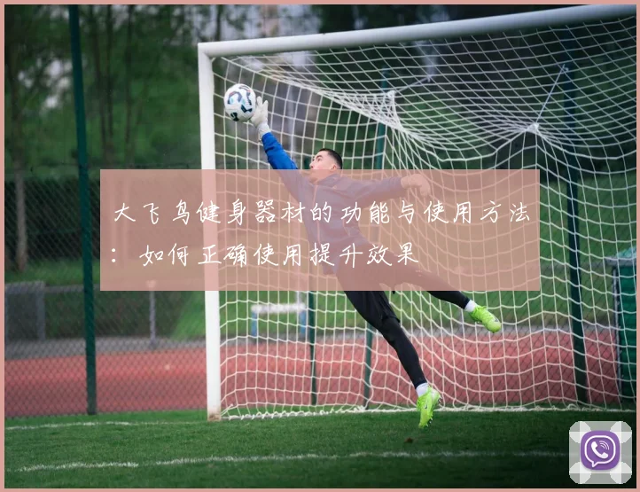 大飞鸟健身器材的功能与使用方法：如何正确使用提升效果