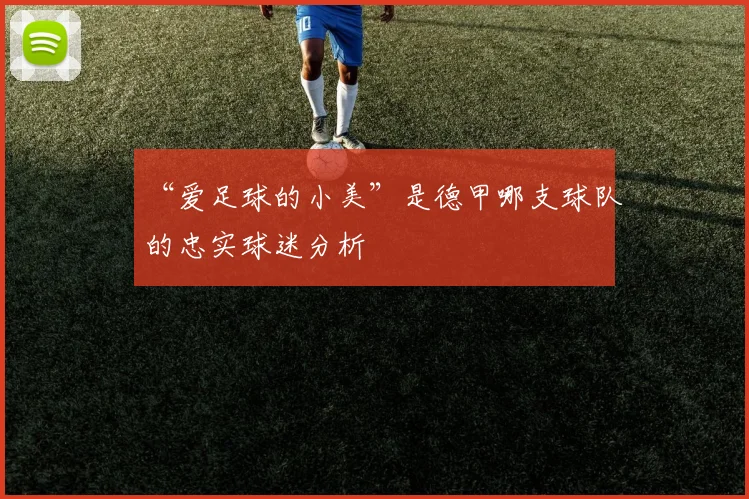 “爱足球的小美”是德甲哪支球队的忠实球迷分析