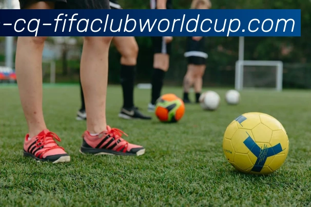 世界杯赛程服务体系